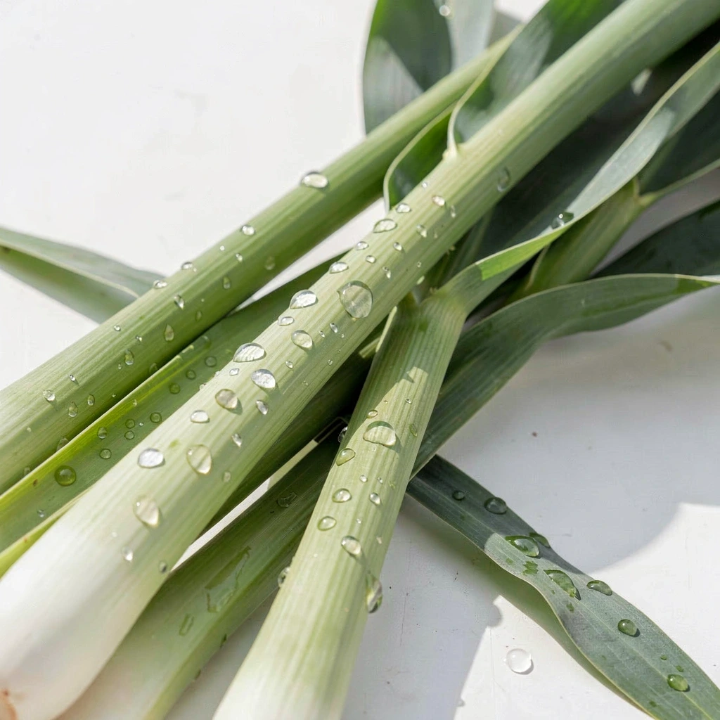 Fresh lemongrass stalks